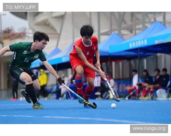 im体育官方平台最新登录入口,提供安全稳定的体育赛事直播与在线投注体验 im体育官方平台最新登录入口,提供安全稳定的体育赛事直播与在线投注体验