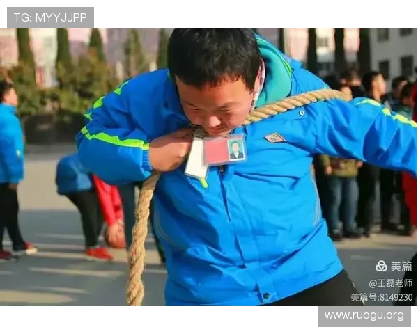 三公游戏规则最新版本解读及实战技巧分享助你轻松取胜