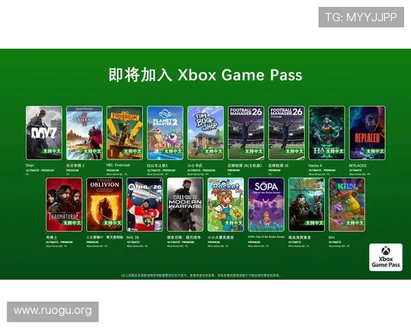 必赢3003+会员账号使用技巧分享，提升你的游戏体验与账号安全